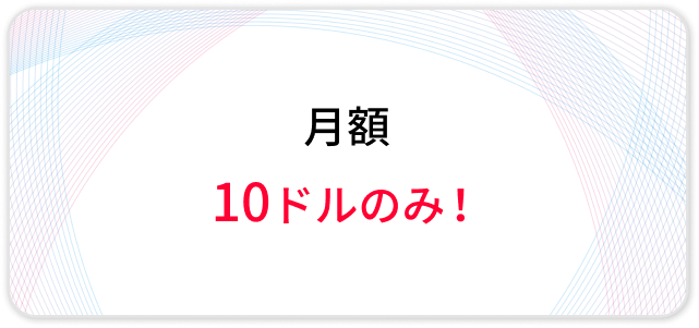 月額 10ドルのみ！